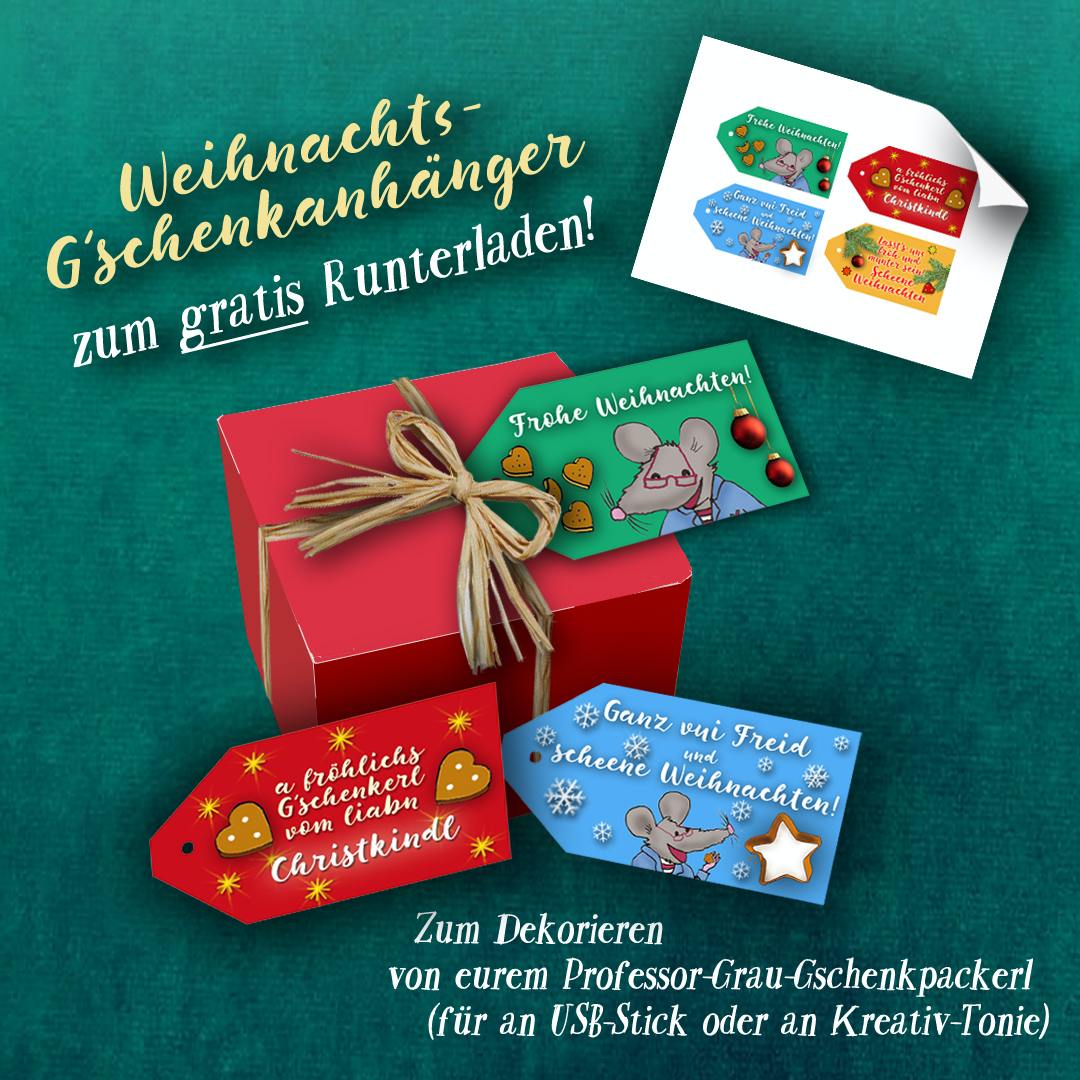 Die Weihnachtsabenteuer vom Professor Grau